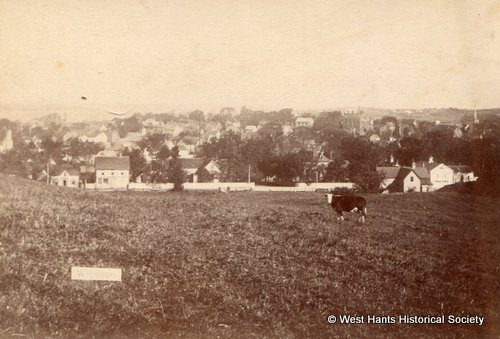 Overview of Windsor, NS