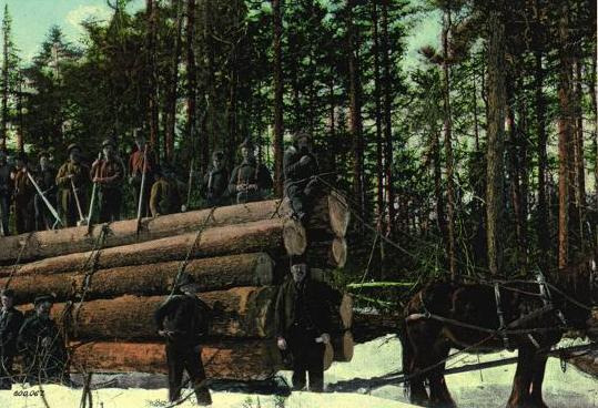 Logging Industry Ponhook NS